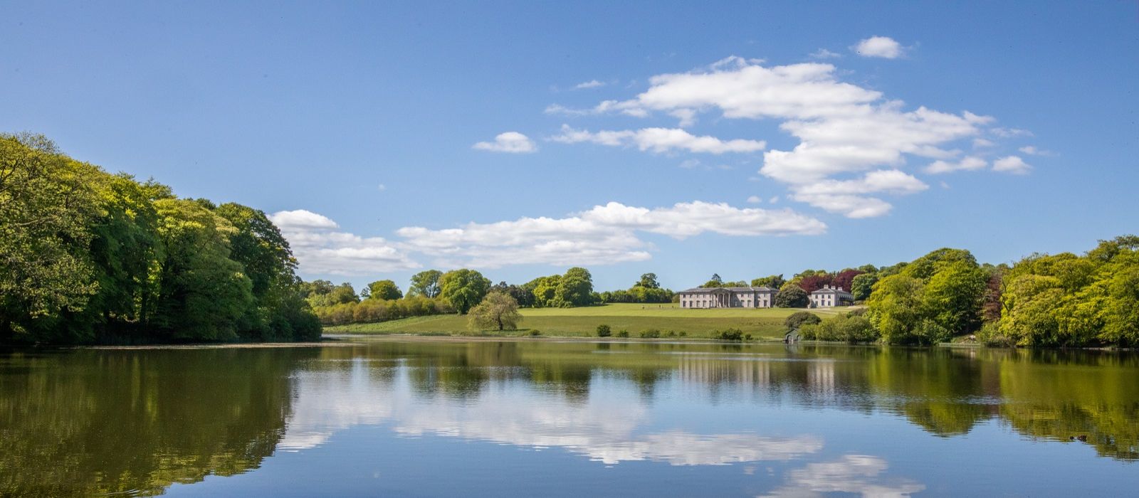 Ballyfin Demesne 