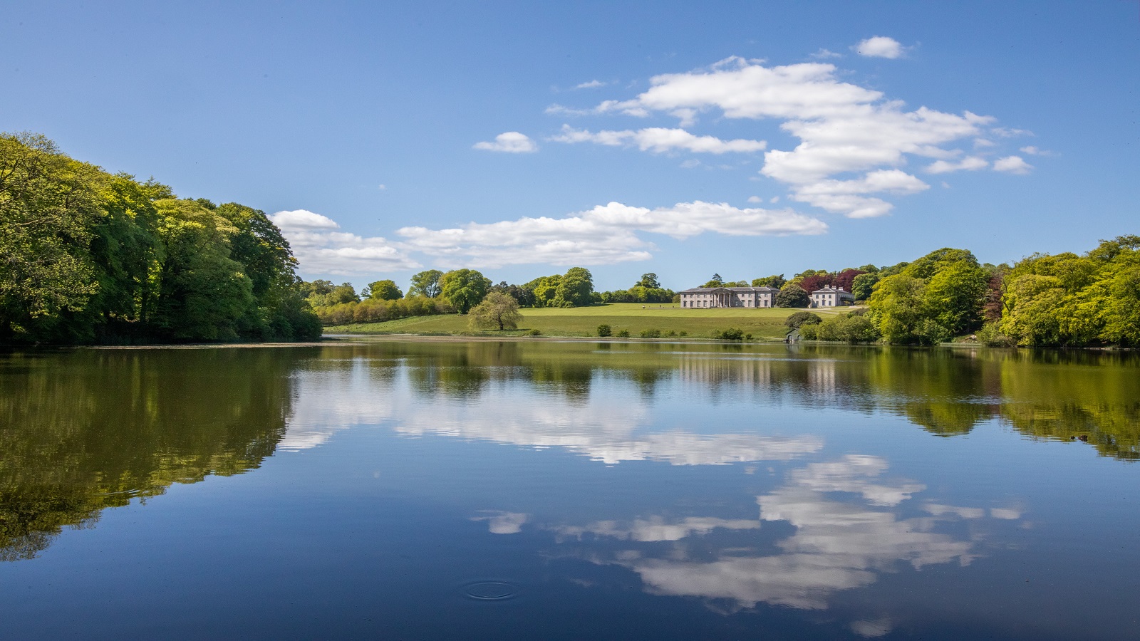 Ballyfin Demesne