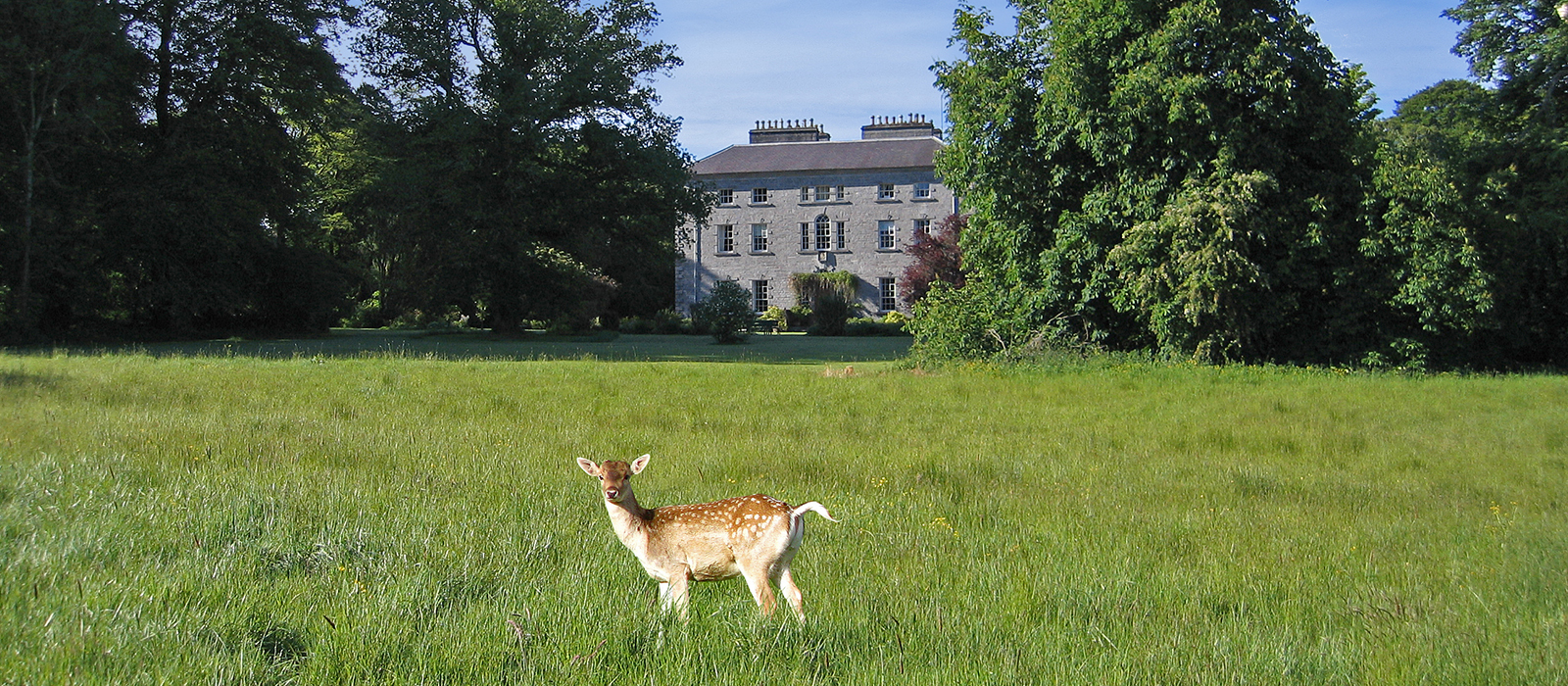 Coopershill House