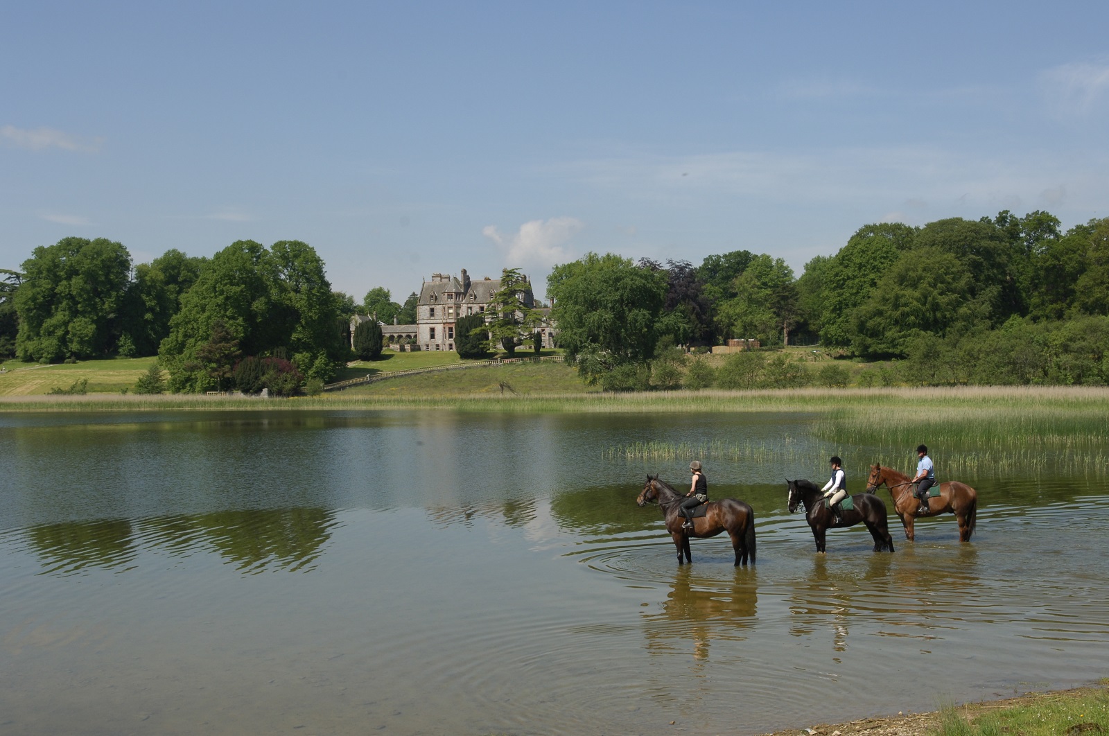 Castle Leslie Estate